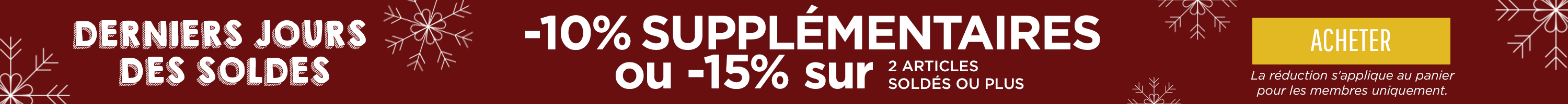 Winter Sale Skinny Banner UPGRADE South